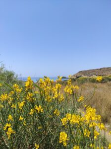 IMG_20210607_131306