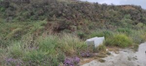 IMG_20230530_113801