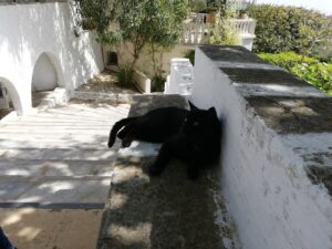 IMG_20180413_151328