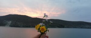IMG_20200414_195306