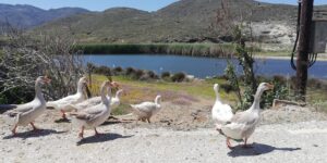 IMG_20200501_140915