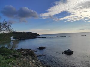 IMG_20220206_161804