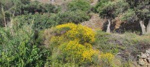 εικόνα_Viber_2023-06-08_08-31-59-944