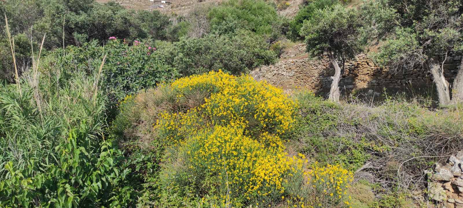 εικόνα_Viber_2023-06-08_08-31-59-944