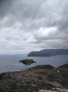 IMG_20220309_113743