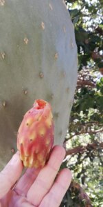 IMG_20210410_171123
