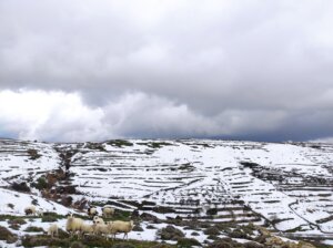 IMG_20220129_125109
