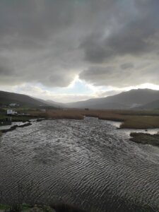 IMG_20220203_161846